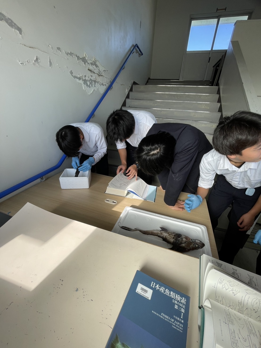 Image - 2025-12-01T173101.374